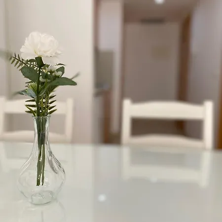 Brava Apartment
