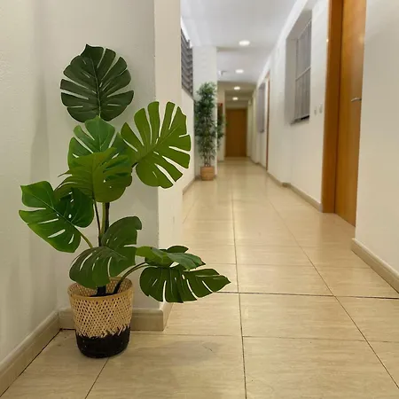 Brava Apartment Lloret de Mar
