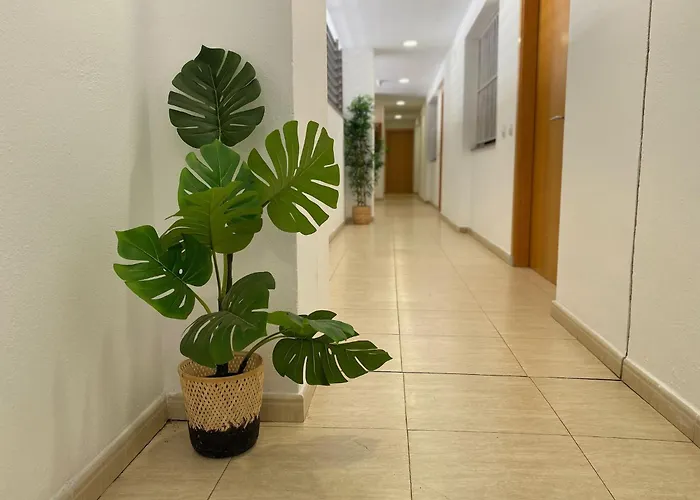 Brava Apartment Lloret de Mar